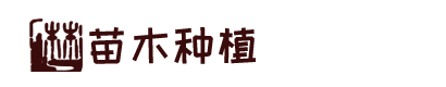 澳门新永利网址入口